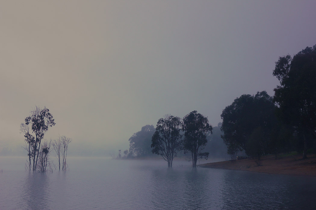 lake covered in fog